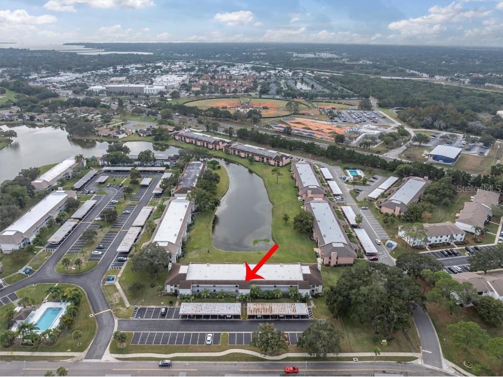 108 Lakeview Place #108 Oldsmar FL 34677 TB8454159 image34