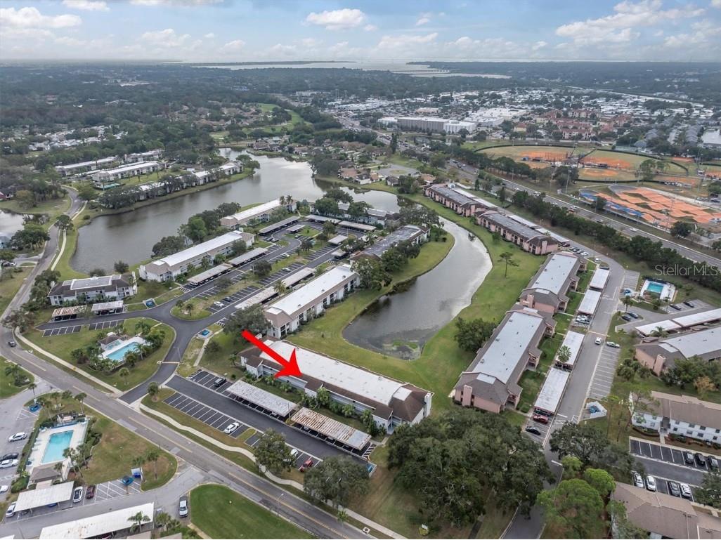 108 Lakeview Place #108 Oldsmar FL 34677 TB8454159 image35