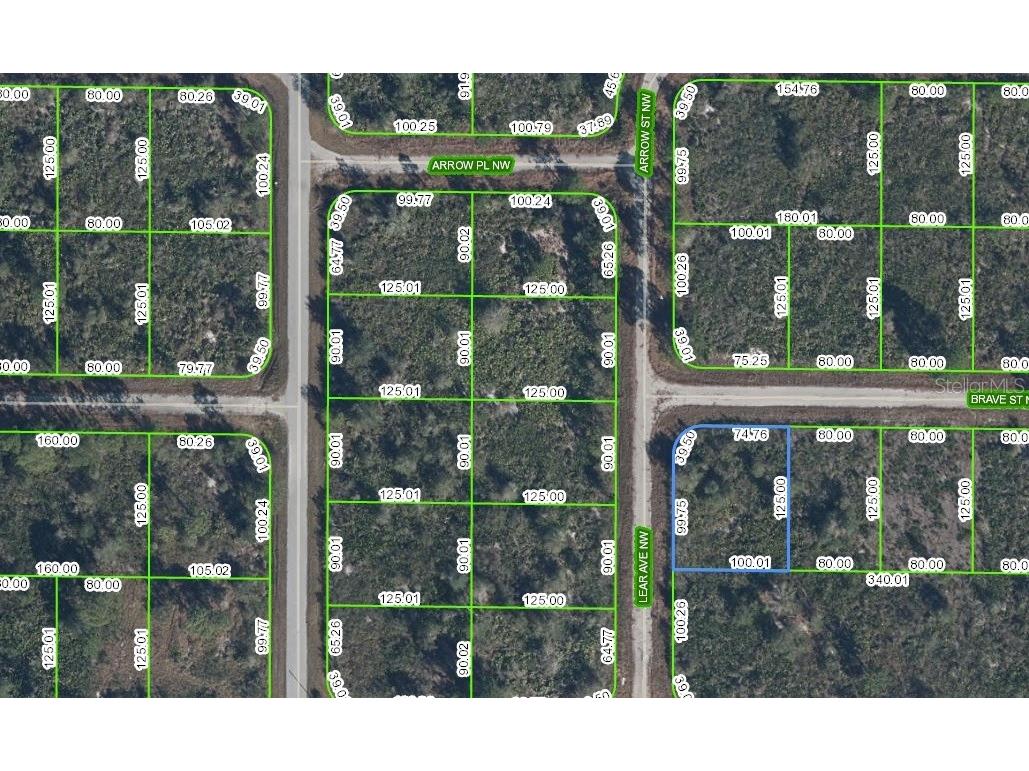 108 Lear Avenue NW Lake Placid FL 33852 C7481458 image1