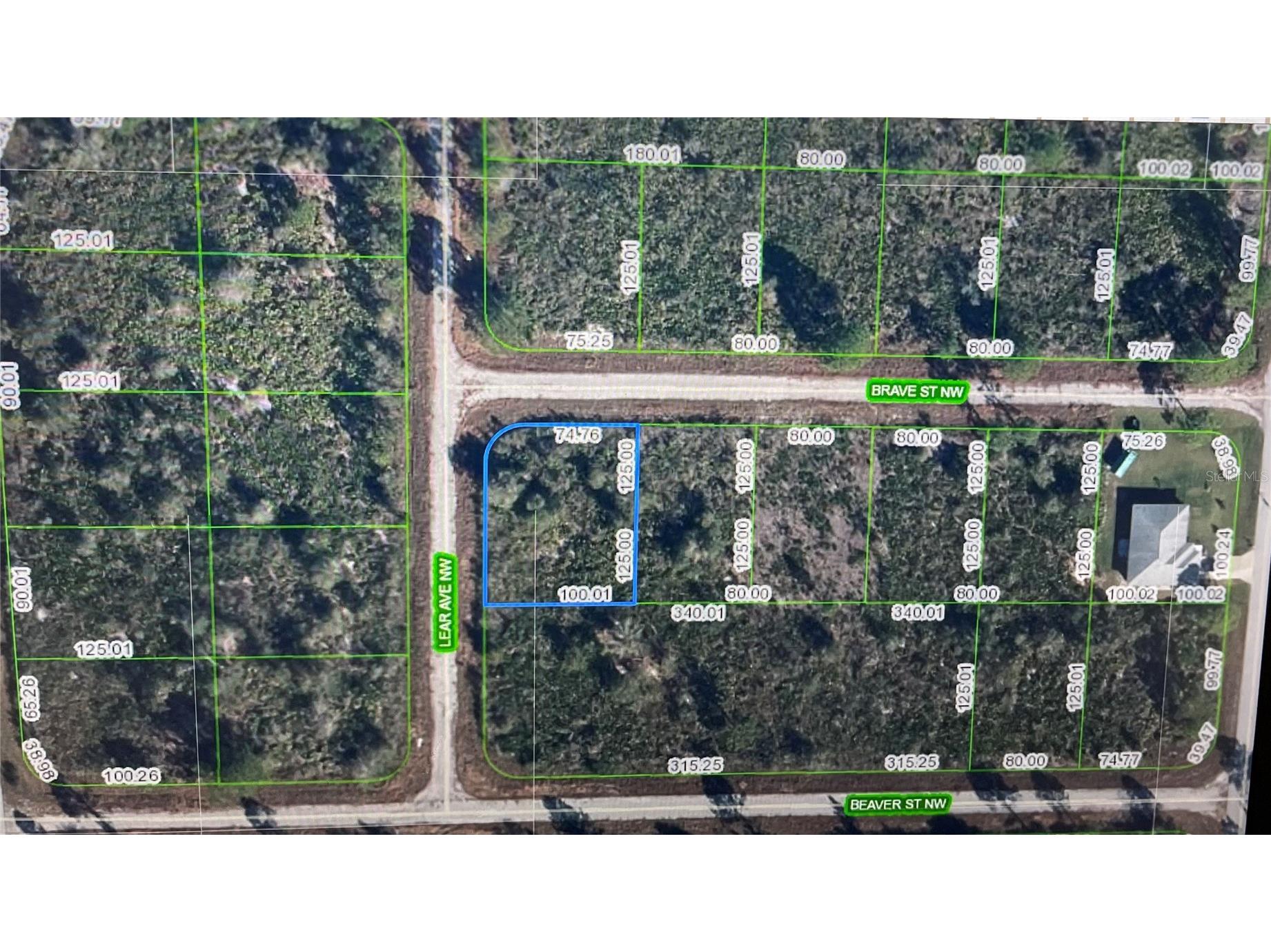 108 Lear Avenue NW Lake Placid FL 33852 O6379149 image1