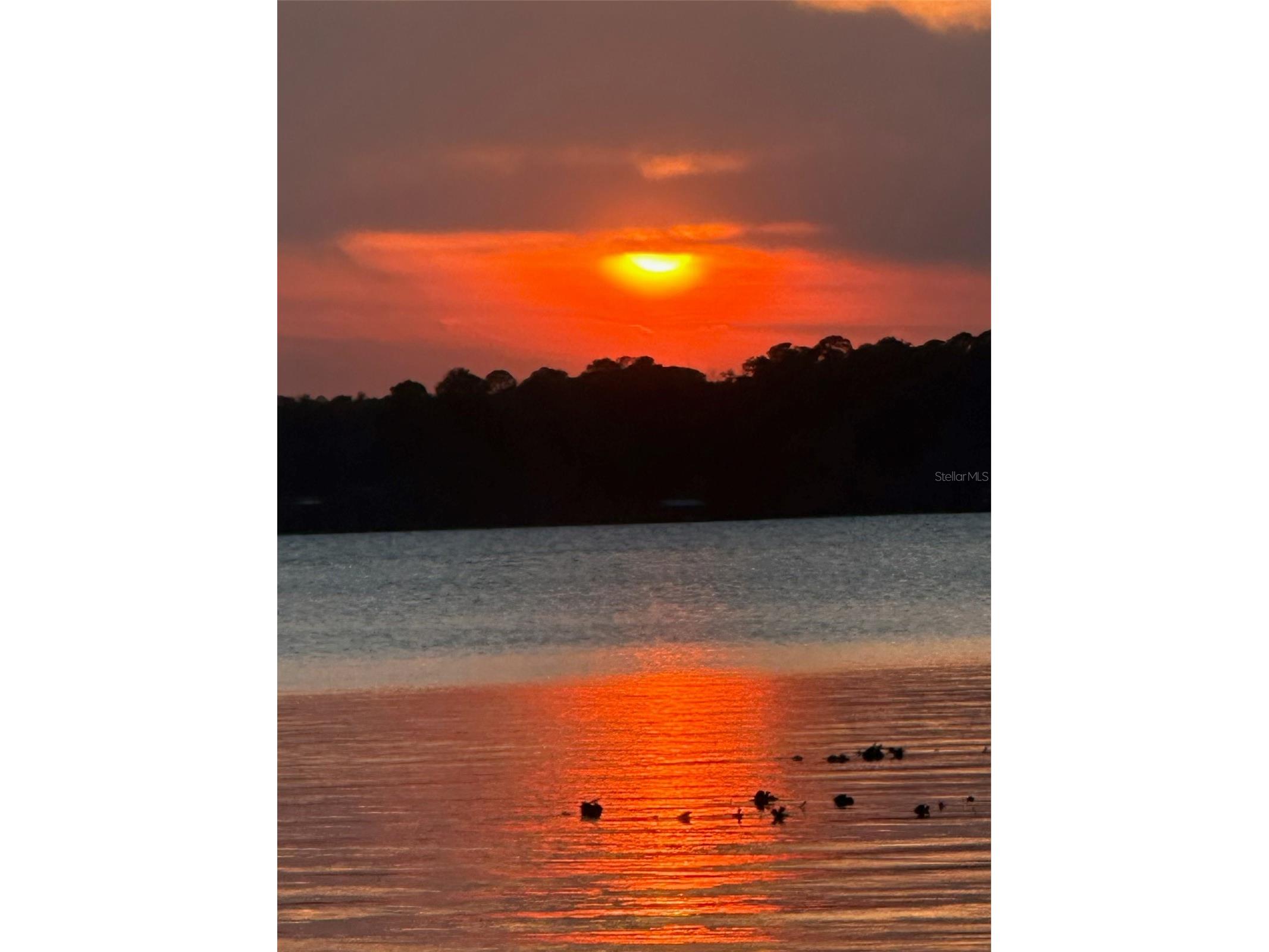 108 Maple Terrace Florahome FL 32140 - GEORGES LAKE GC538191 image96