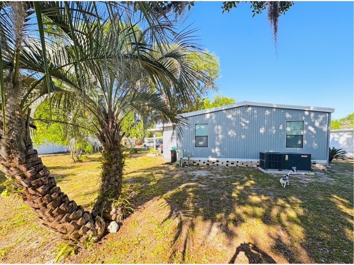 108 N Timber Trail Wildwood FL 34785 G5110061 image5