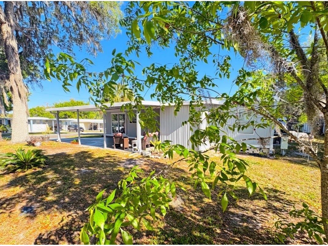 108 N Timber Trail Wildwood FL 34785 G5110061 image7