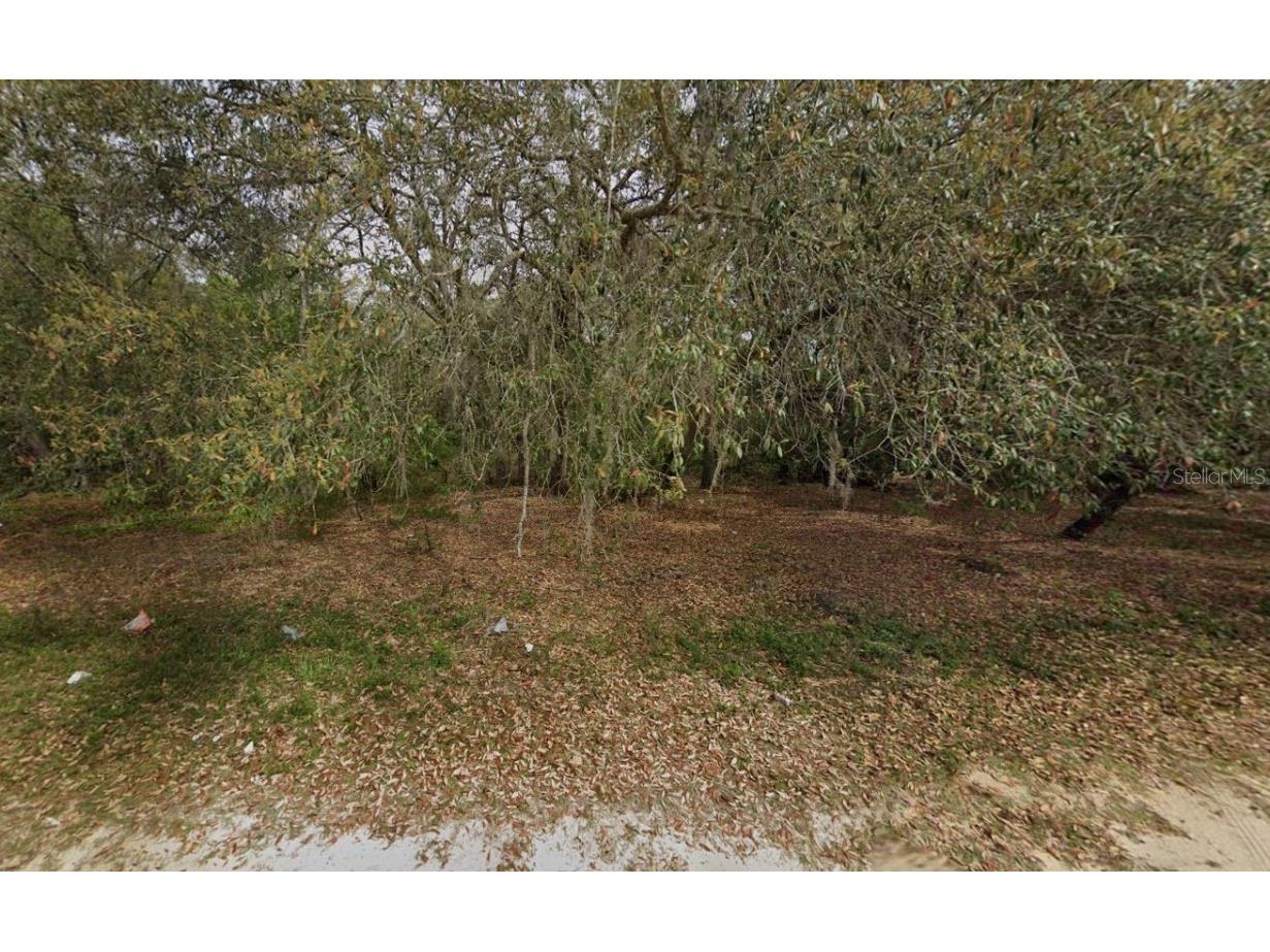 108 Palmer Drive Interlachen FL 32148 C7512522 image1