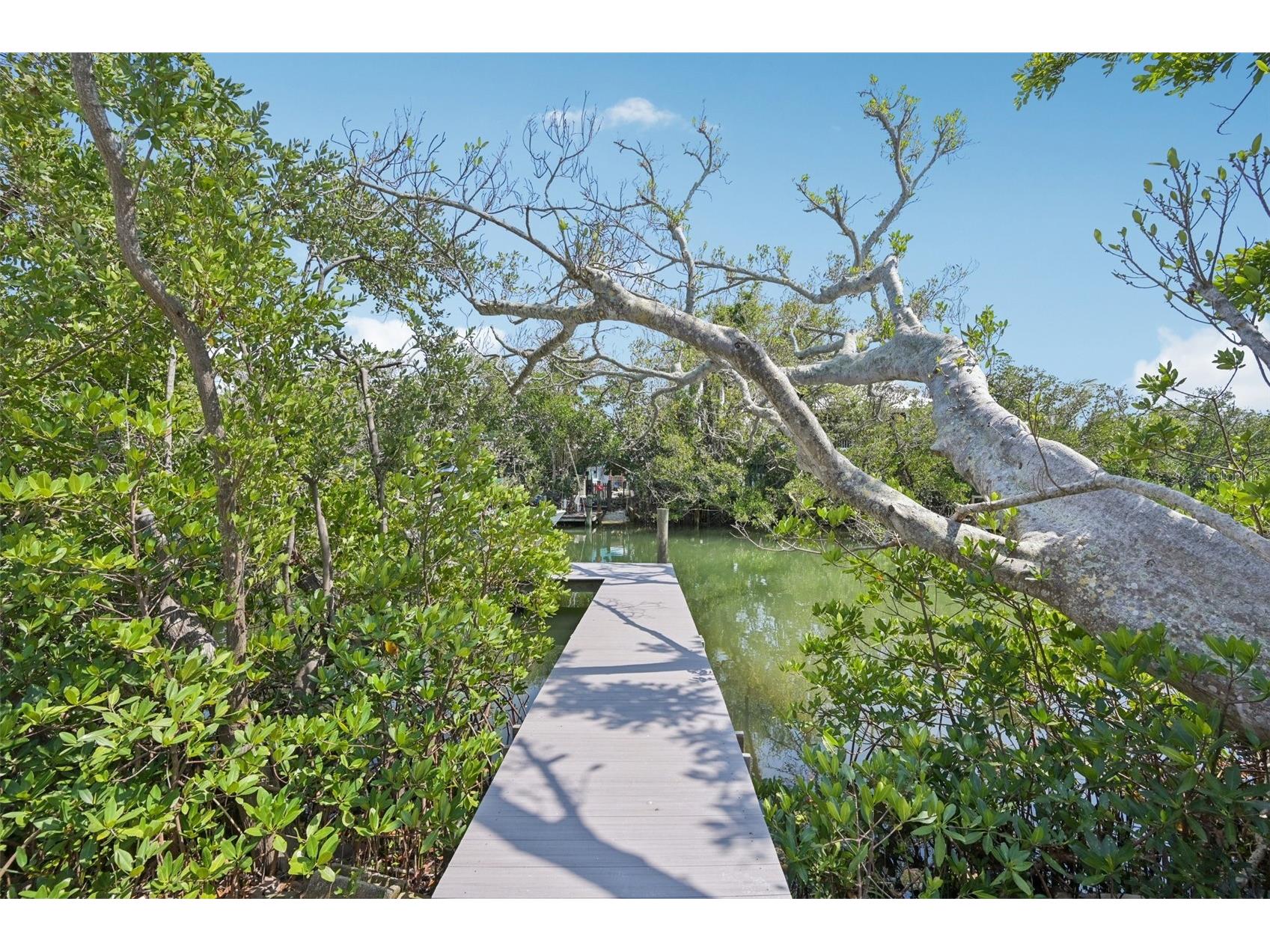 108 Pelican Drive Anna Maria FL 34216 A4680808 image54