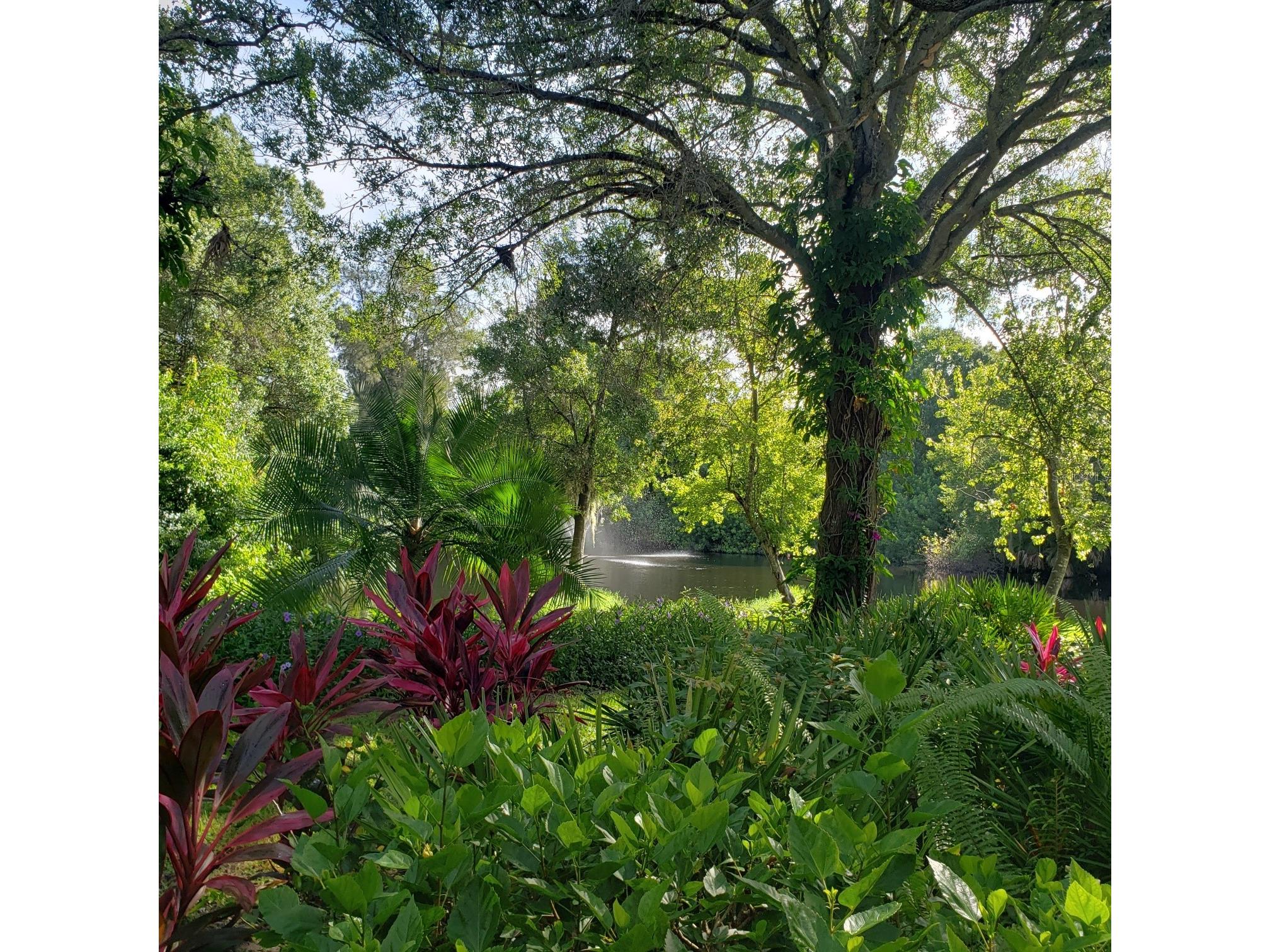 108 Pinehurst Drive Bradenton FL 34210 A4598299 image14