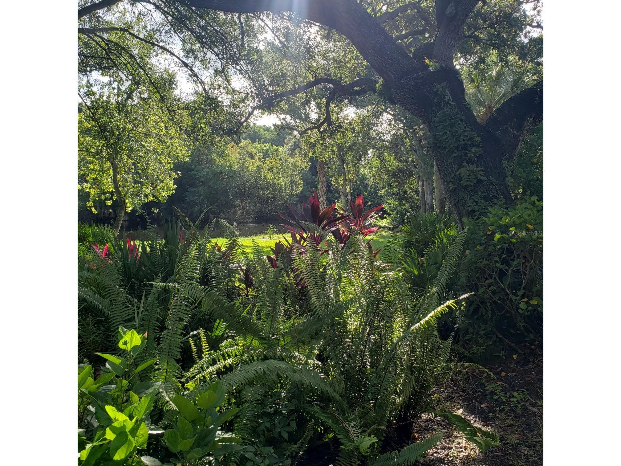 108 Pinehurst Drive Bradenton FL 34210 A4598299 image15