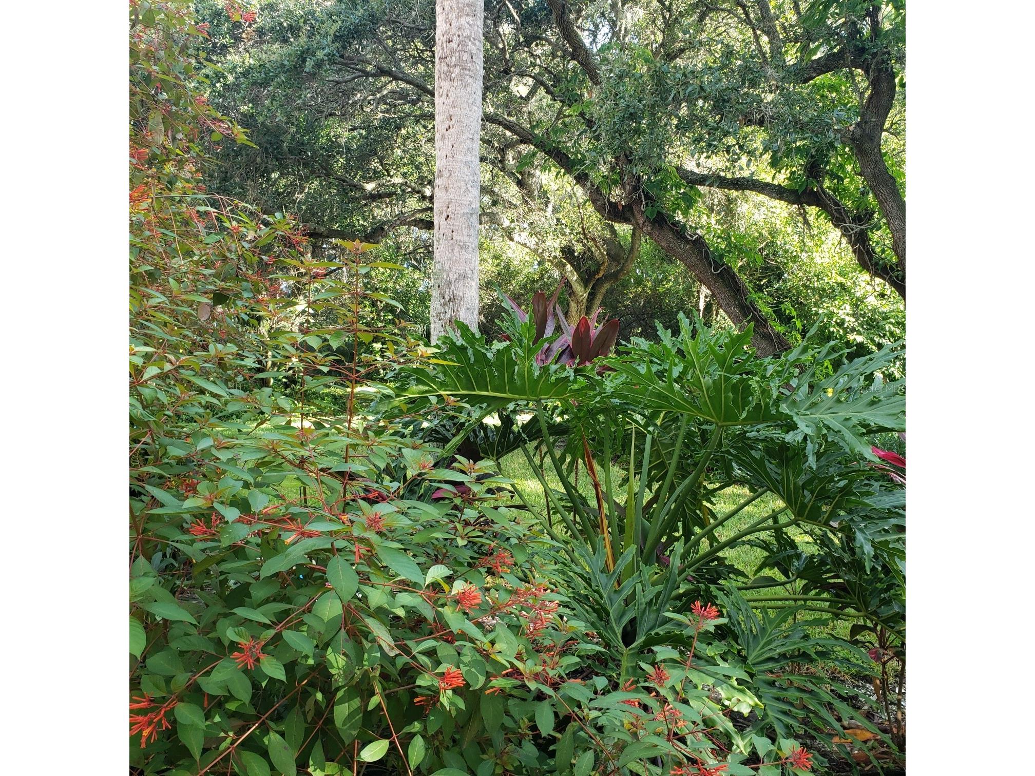 108 Pinehurst Drive Bradenton FL 34210 A4598299 image16