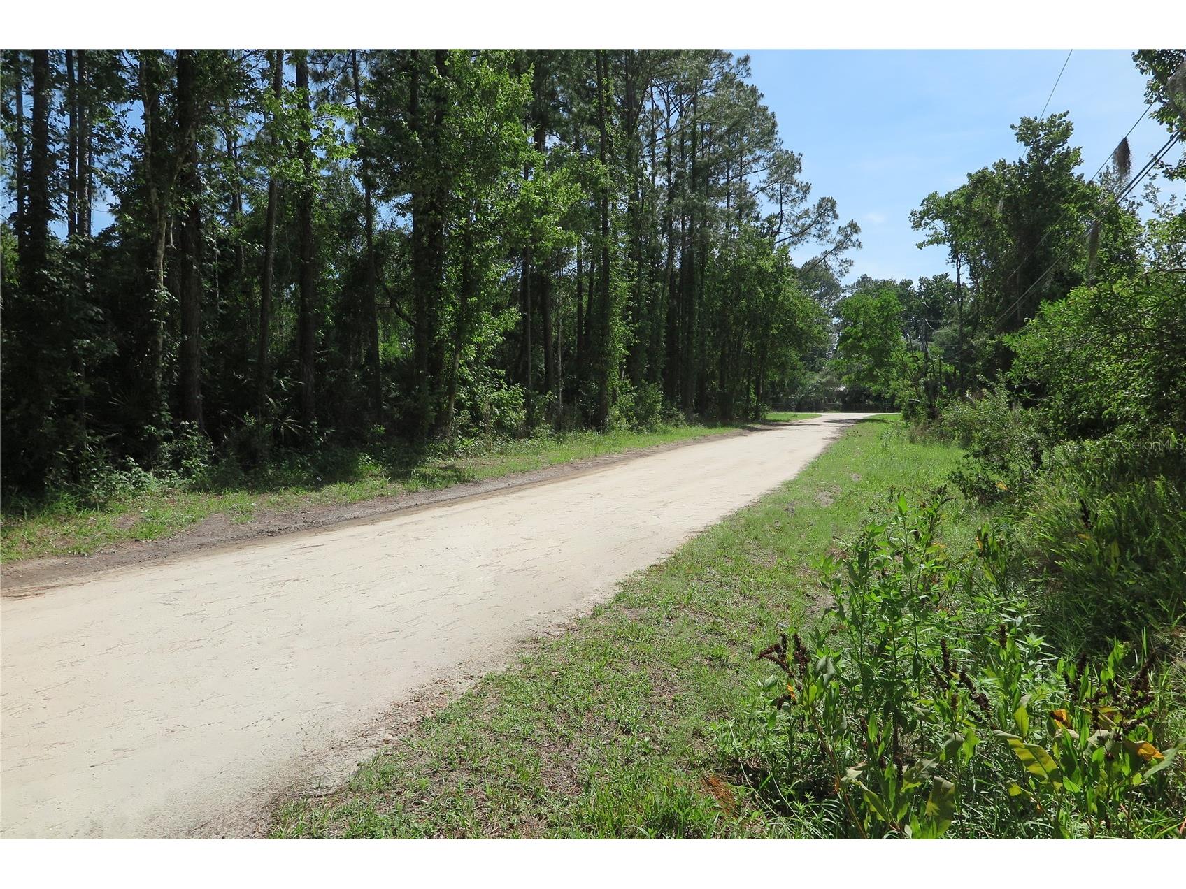 108 Pineshore Drive Satsuma FL 32189 GC541793 image33