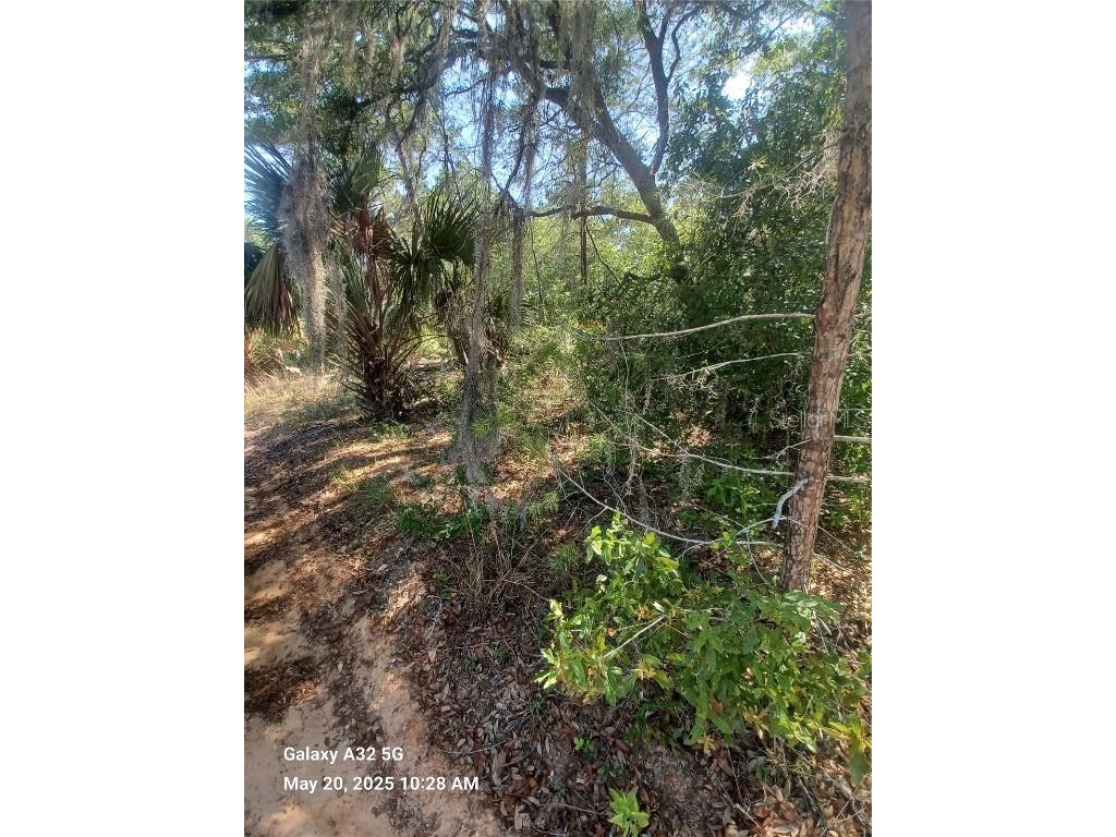 108 Rabbit Track Road Satsuma FL 32189 NS1084923 image1