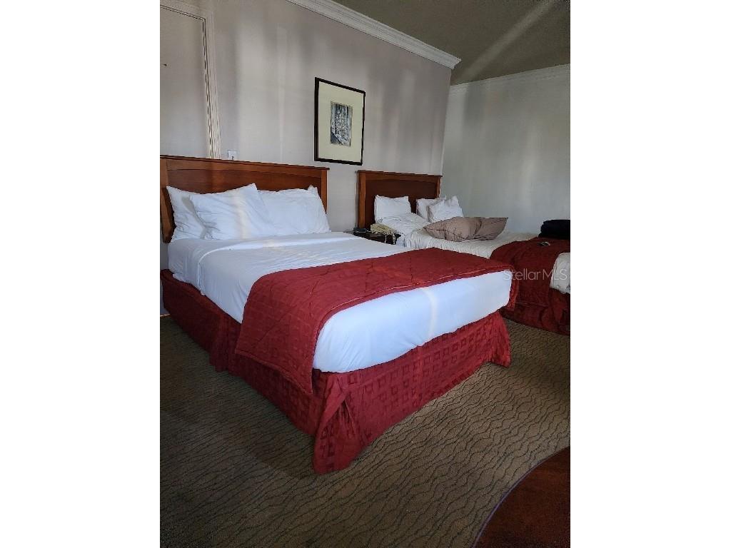 108 Royal Palm Avenue Clewiston FL 33440 O6252992 image10