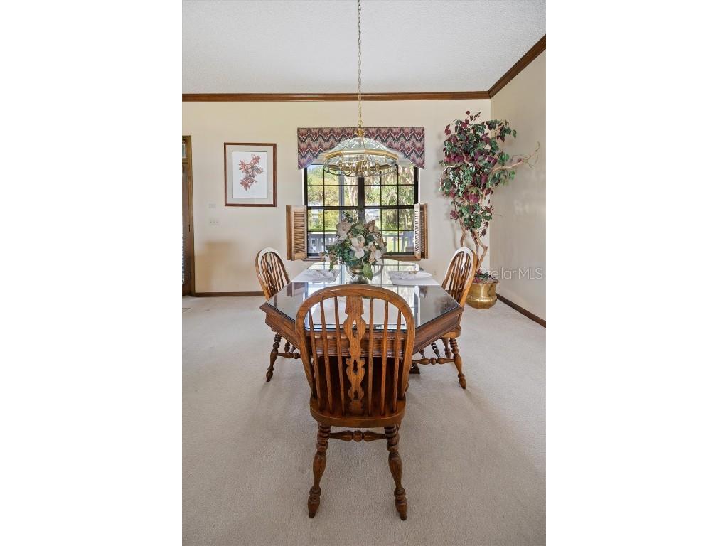 108 Saint Johns Drive Palatka FL 32177 FC311815 image19