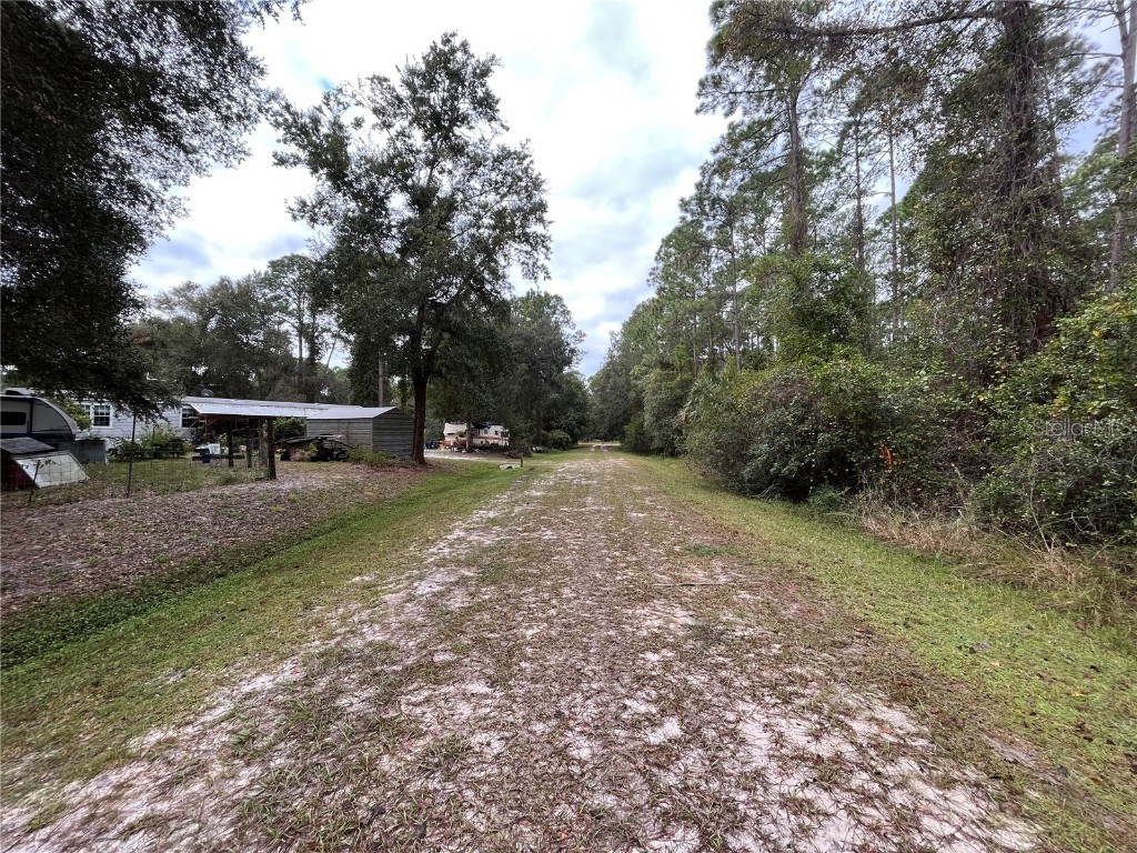 108 SE 5th Street Georgetown FL 32139 OK225307 image4