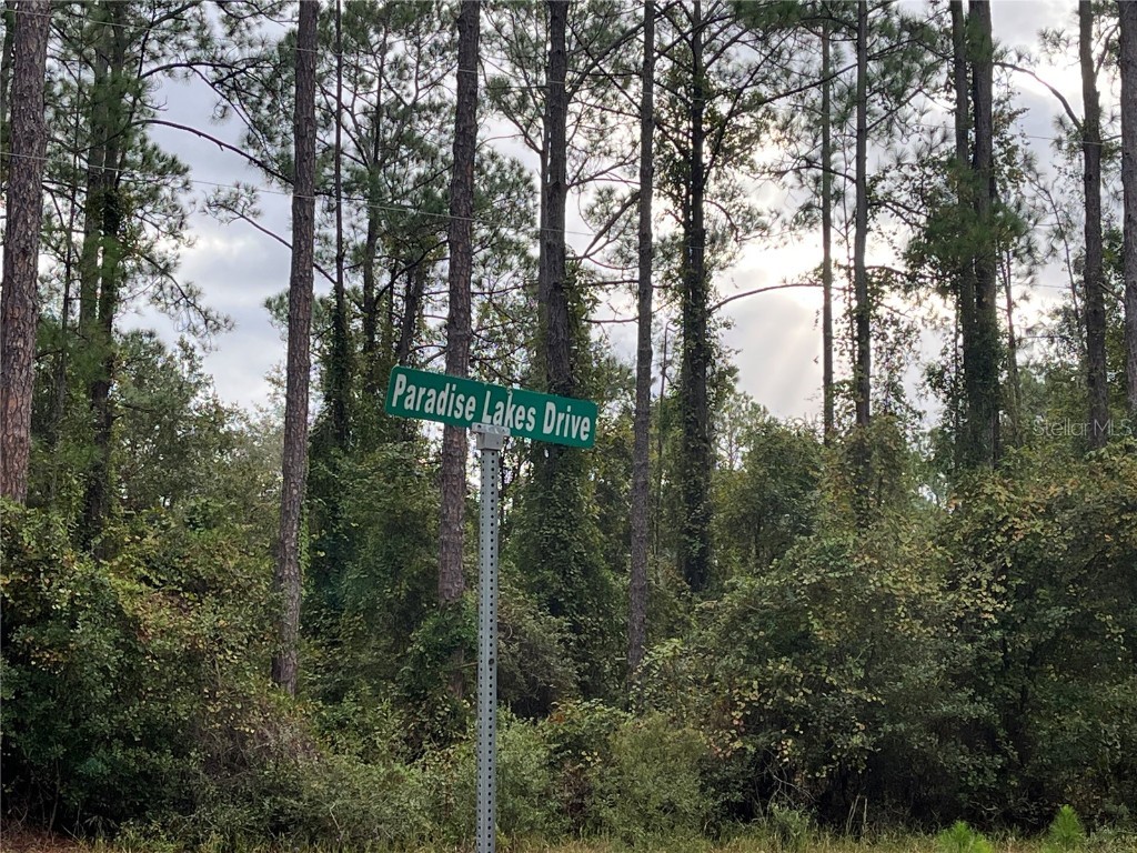 108 SE 5th Street Georgetown FL 32139 OK225307 image5