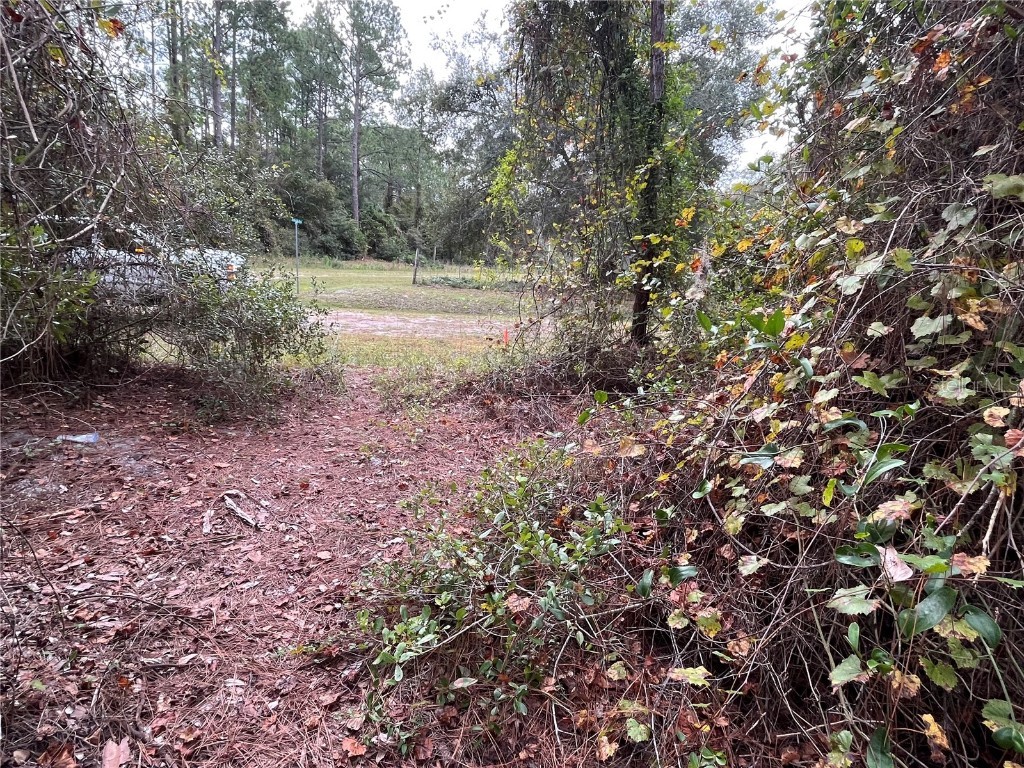 108 SE 5th Street Georgetown FL 32139 OK225307 image7