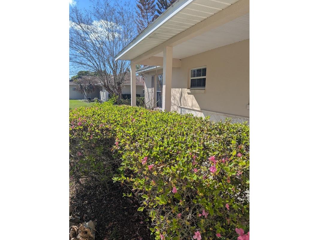 108 Twin Lake Circle Umatilla FL 32784 V4947781 image12