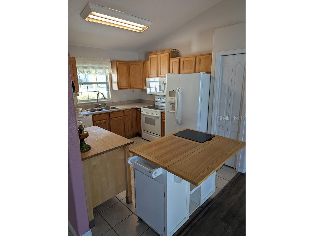108 Twin Lake Circle Umatilla FL 32784 V4947781 image19