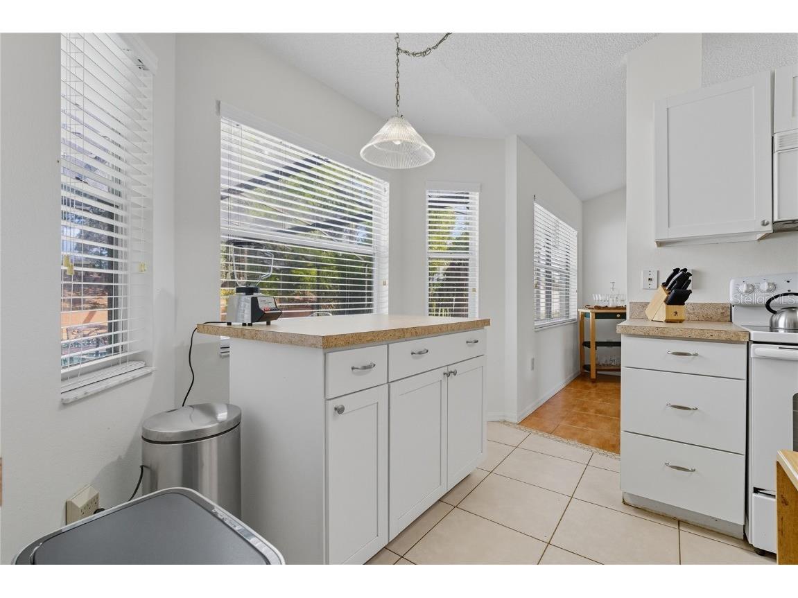 108 Valentino Ct Davenport FL 33837 P4936456 image14