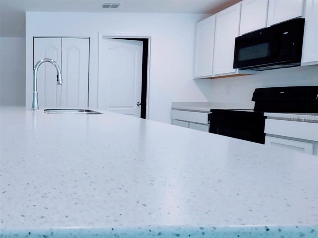 108 W Goldcoast Place Dunnellon FL 34434 TB8425734 image11