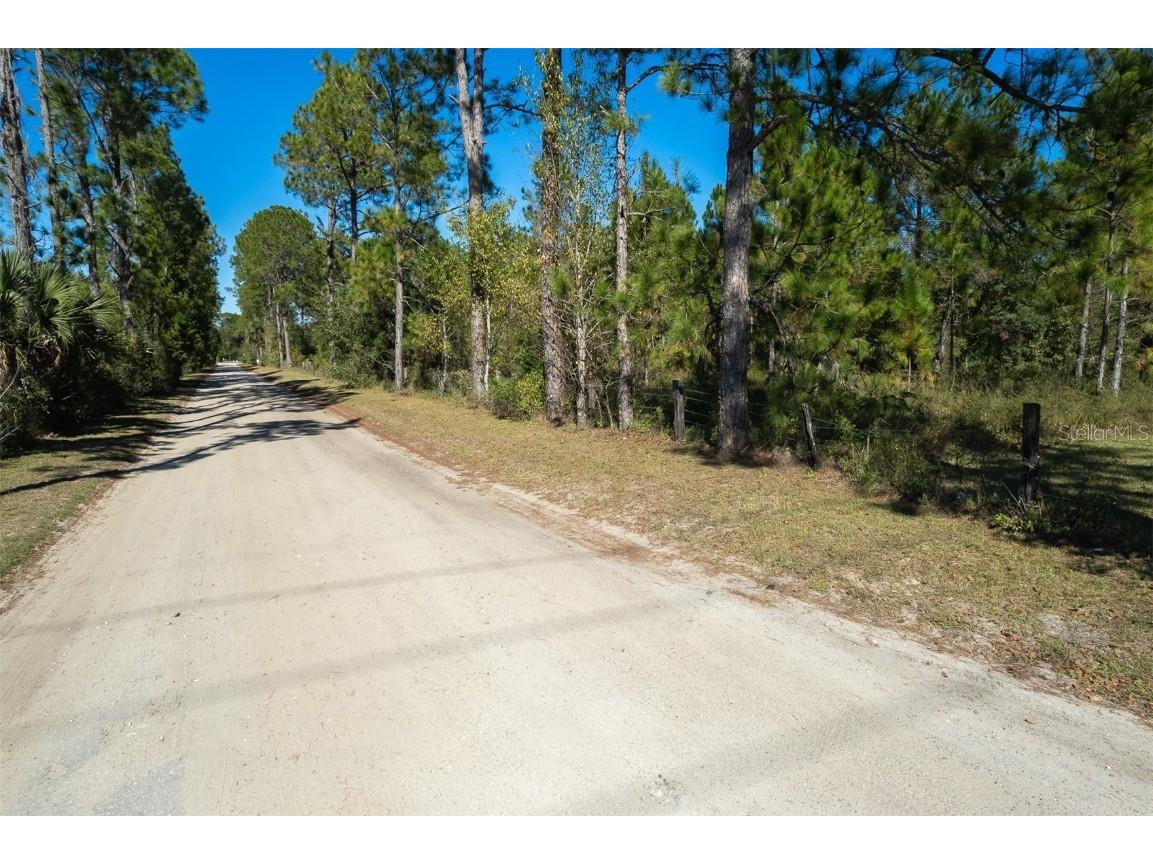 108 Willis Road Interlachen FL 32148 OM703986 image7