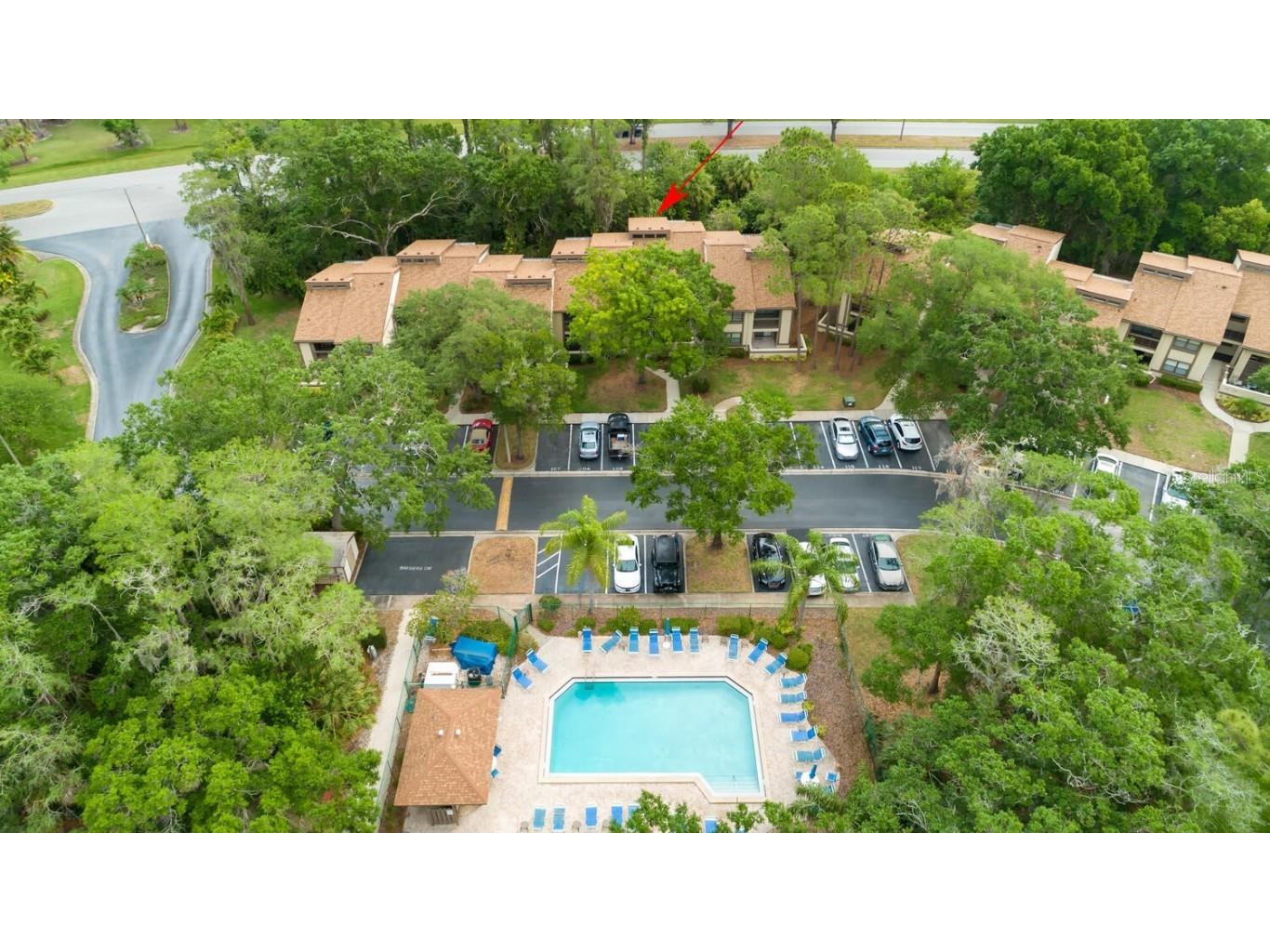 108 Woodlake Wynde #108 Oldsmar FL 34677 U8199219 image1