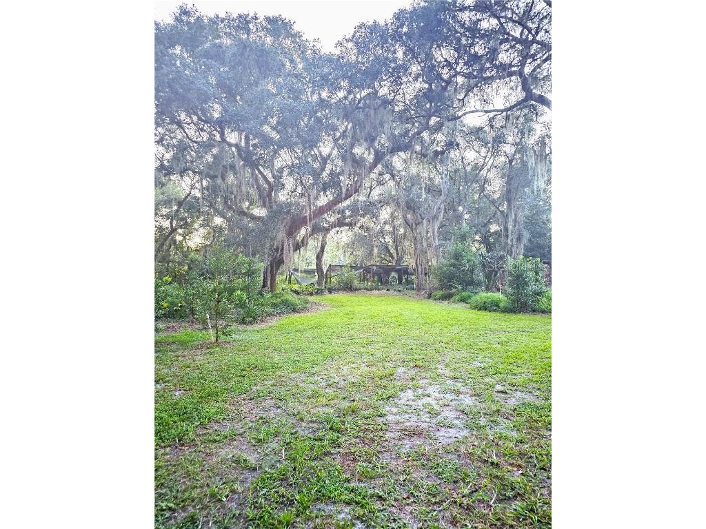 1080 Buckles Road Pierson FL 32180 V4938425 image1