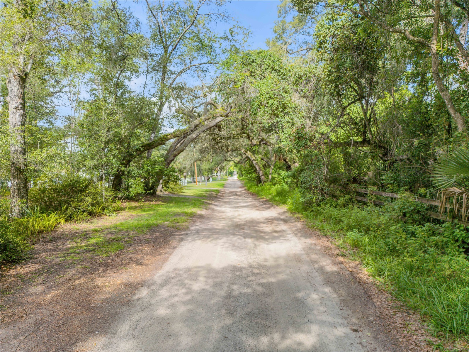 1080 E French Avenue Orange City FL 32763 O6336924 image2