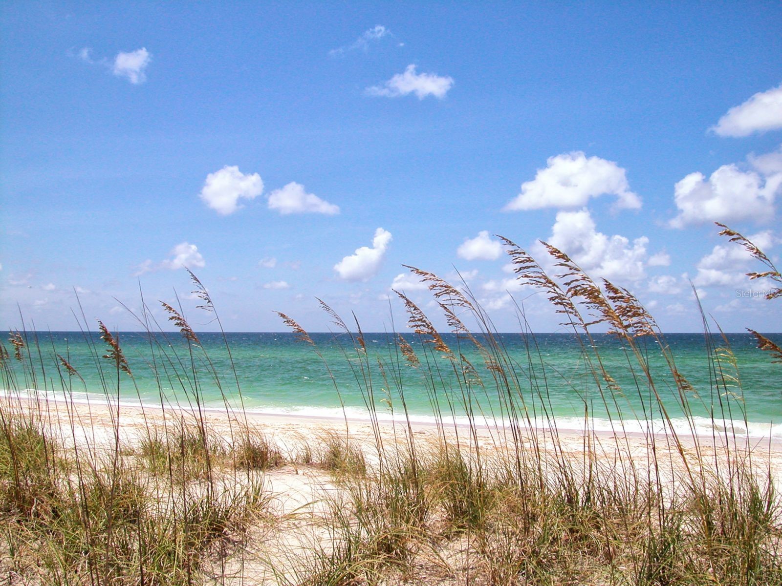 1080 Piedmont Road Venice FL 34293 A4676825 image37