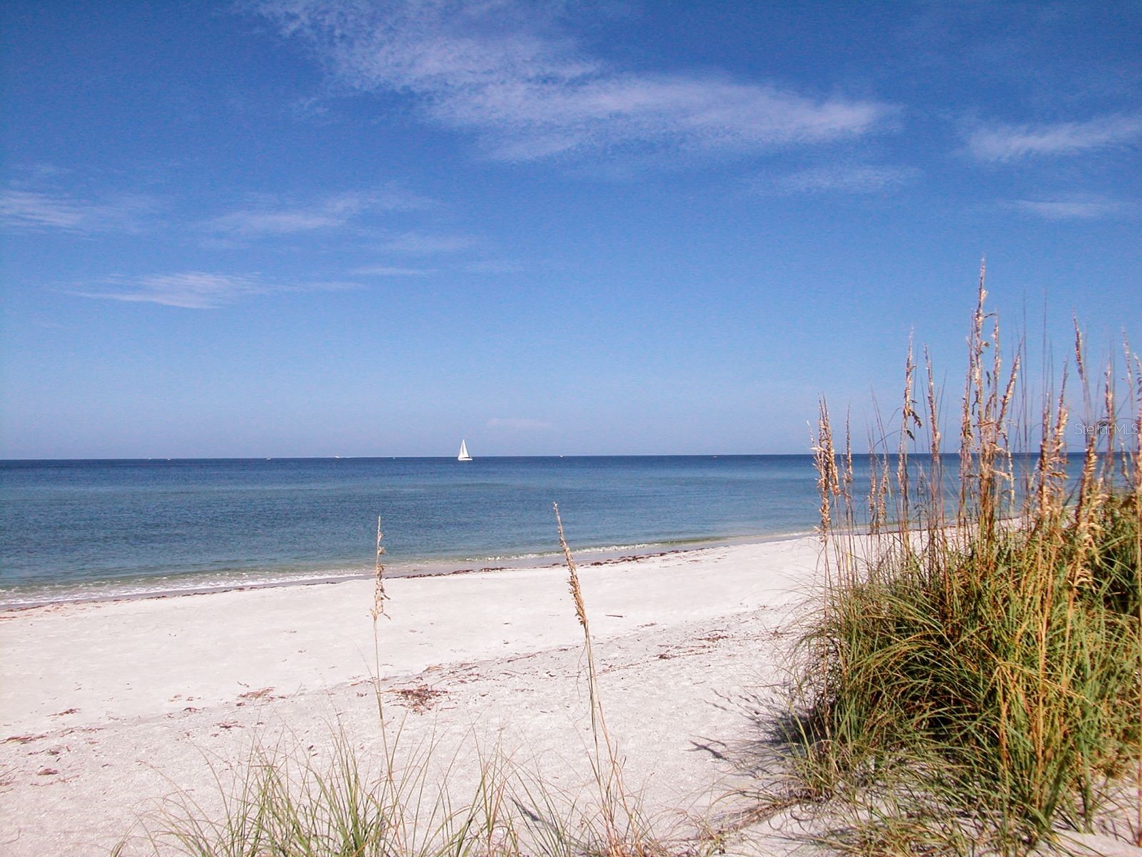 1080 Piedmont Road Venice FL 34293 A4676825 image38