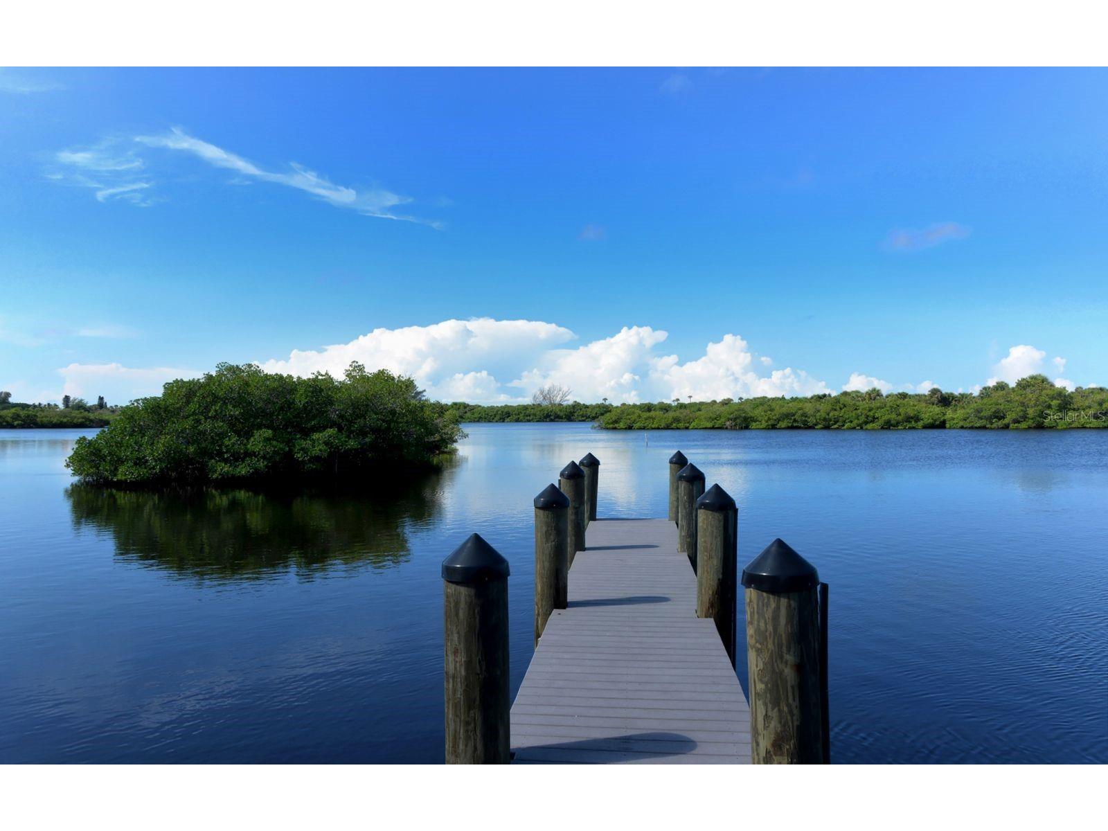 1080 Piedmont Road Venice FL 34293 A4676825 image45