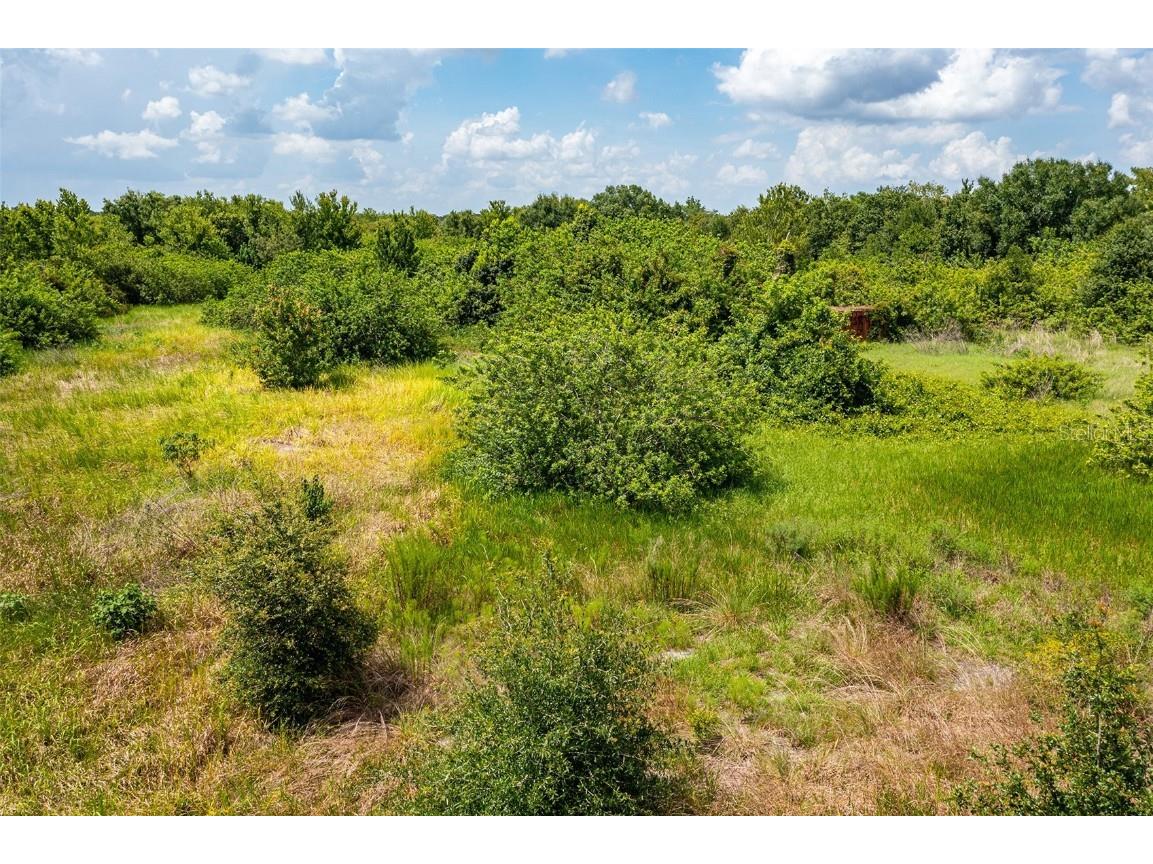 10800 Bill Tucker Road Wimauma FL 33598 U8243718 image9