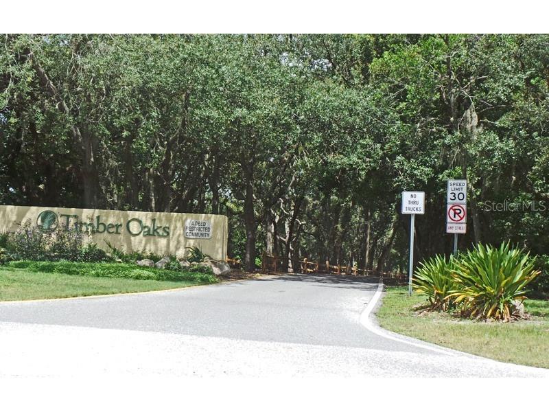 10800 Teer Lane Port Richey FL 34668 W7879601 image34