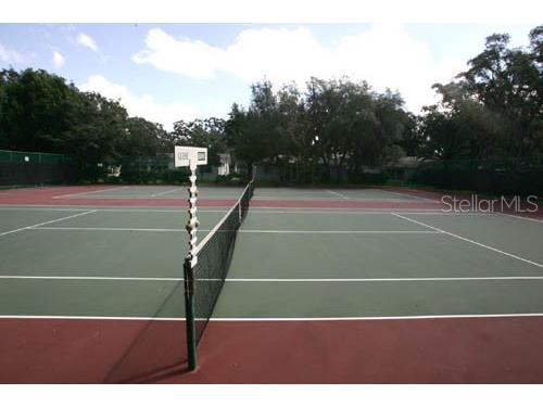 10800 Teer Lane Port Richey FL 34668 W7879601 image40