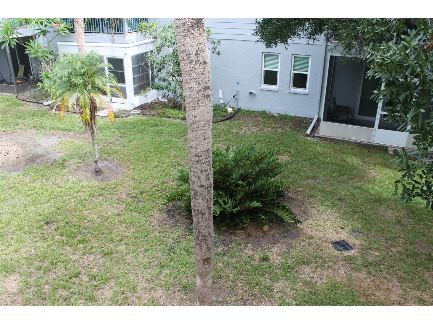 10800 Us Highway 19 N #220 Pinellas Park FL 33782 TB8525840 image24