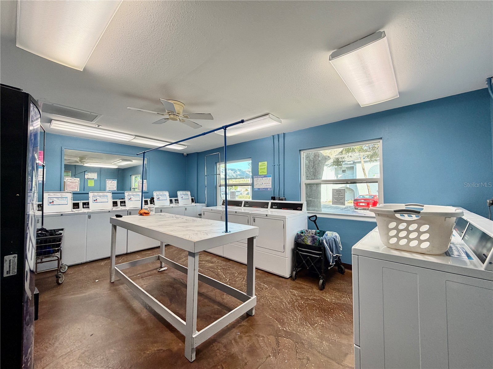 10800 Us Highway 19 N #236 Pinellas Park FL 33782 TB8467299 image24