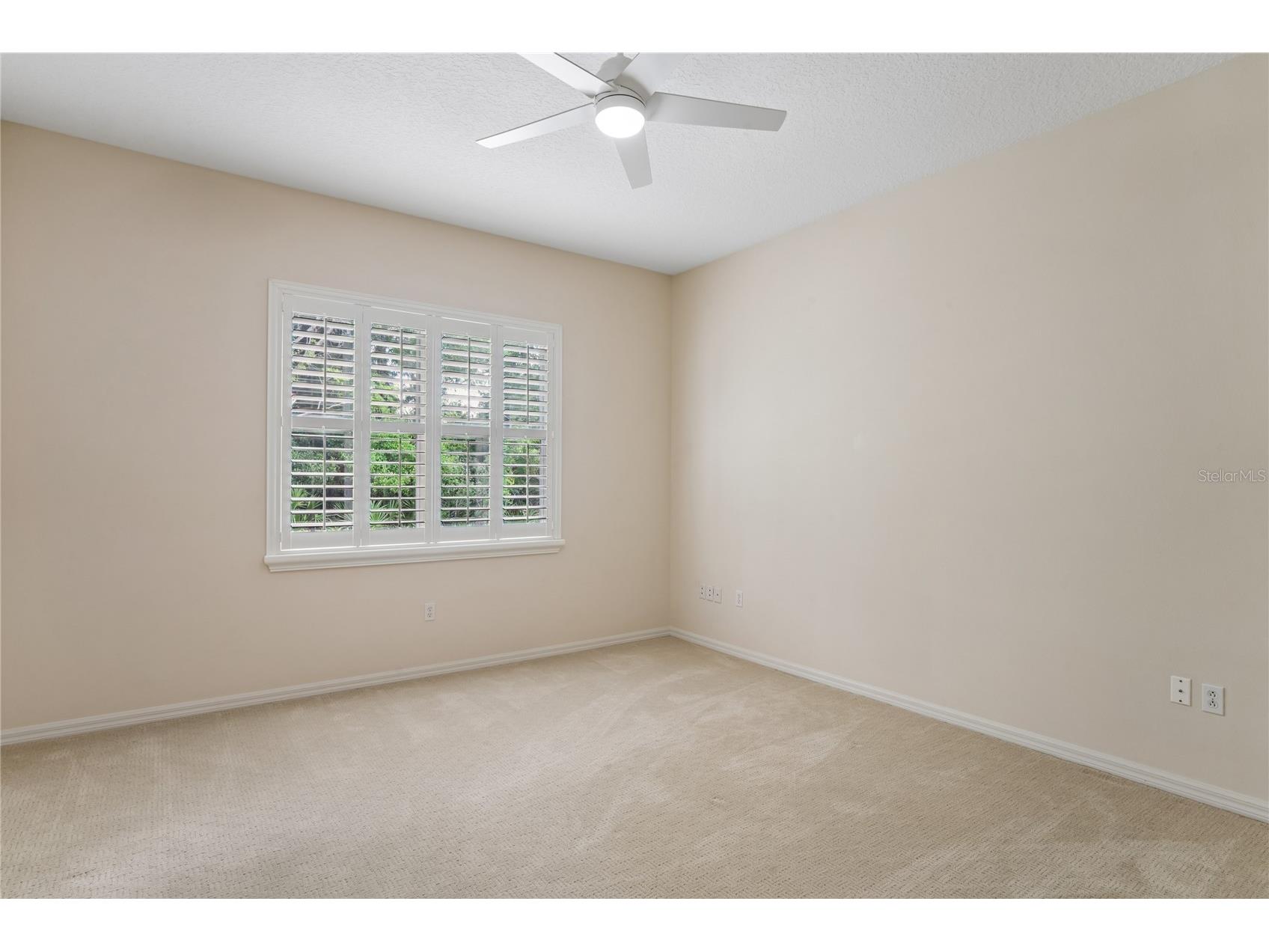 10801 Alico Pass New Port Richey FL 34655 W7884166 image42