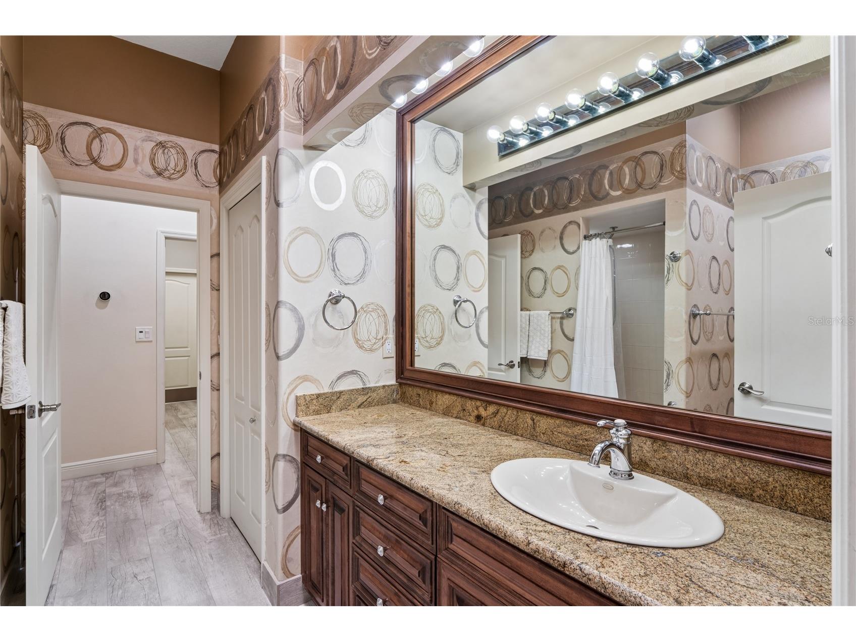 10801 Alico Pass New Port Richey FL 34655 W7884166 image46
