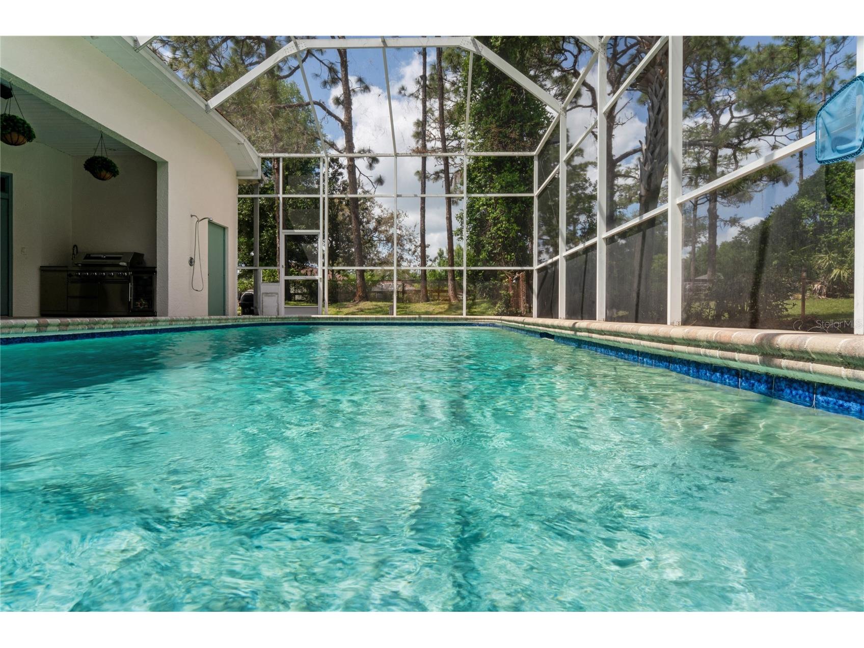 10801 Alico Pass New Port Richey FL 34655 W7884166 image57