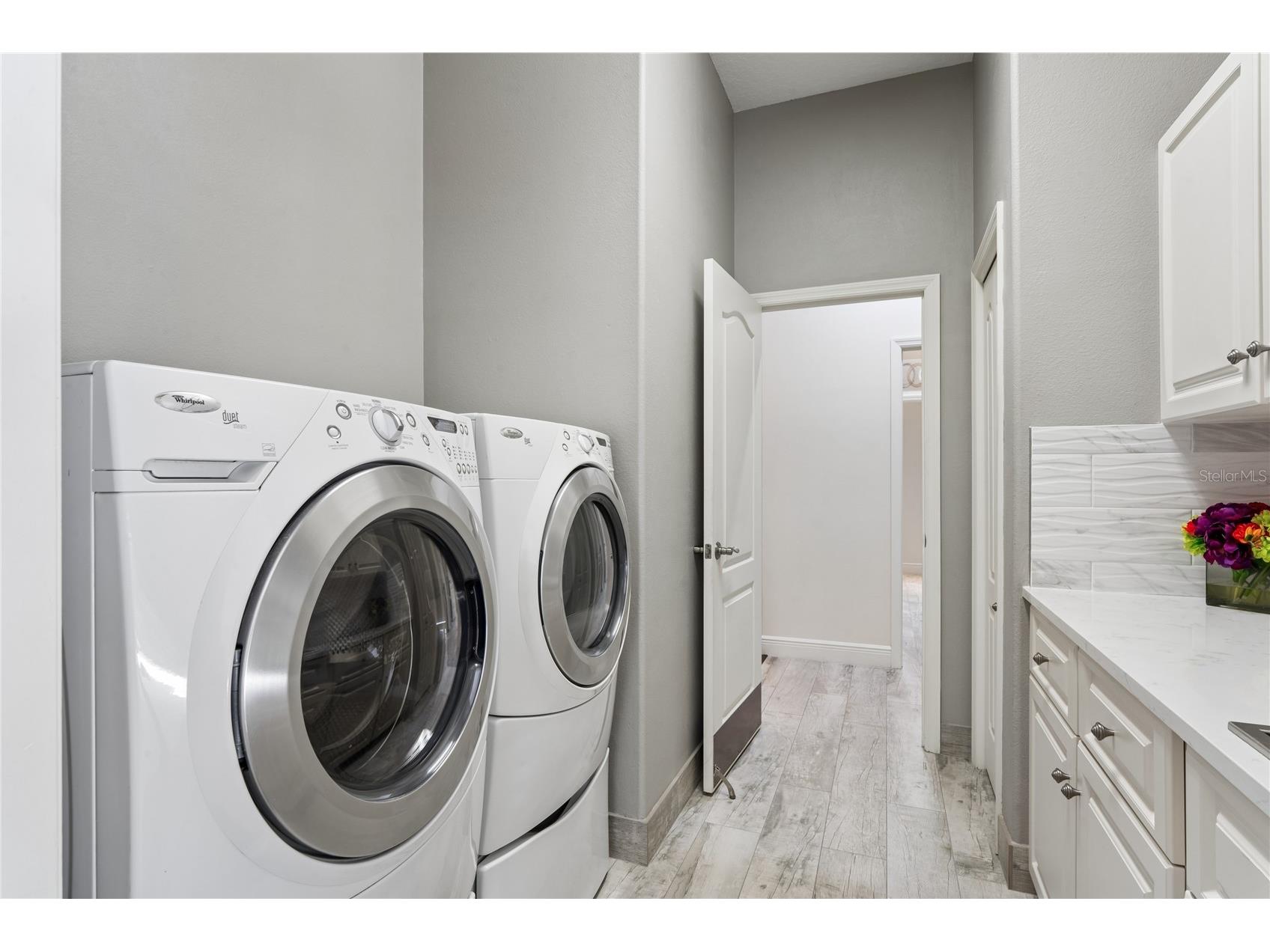 10801 Alico Pass New Port Richey FL 34655 W7884166 image67