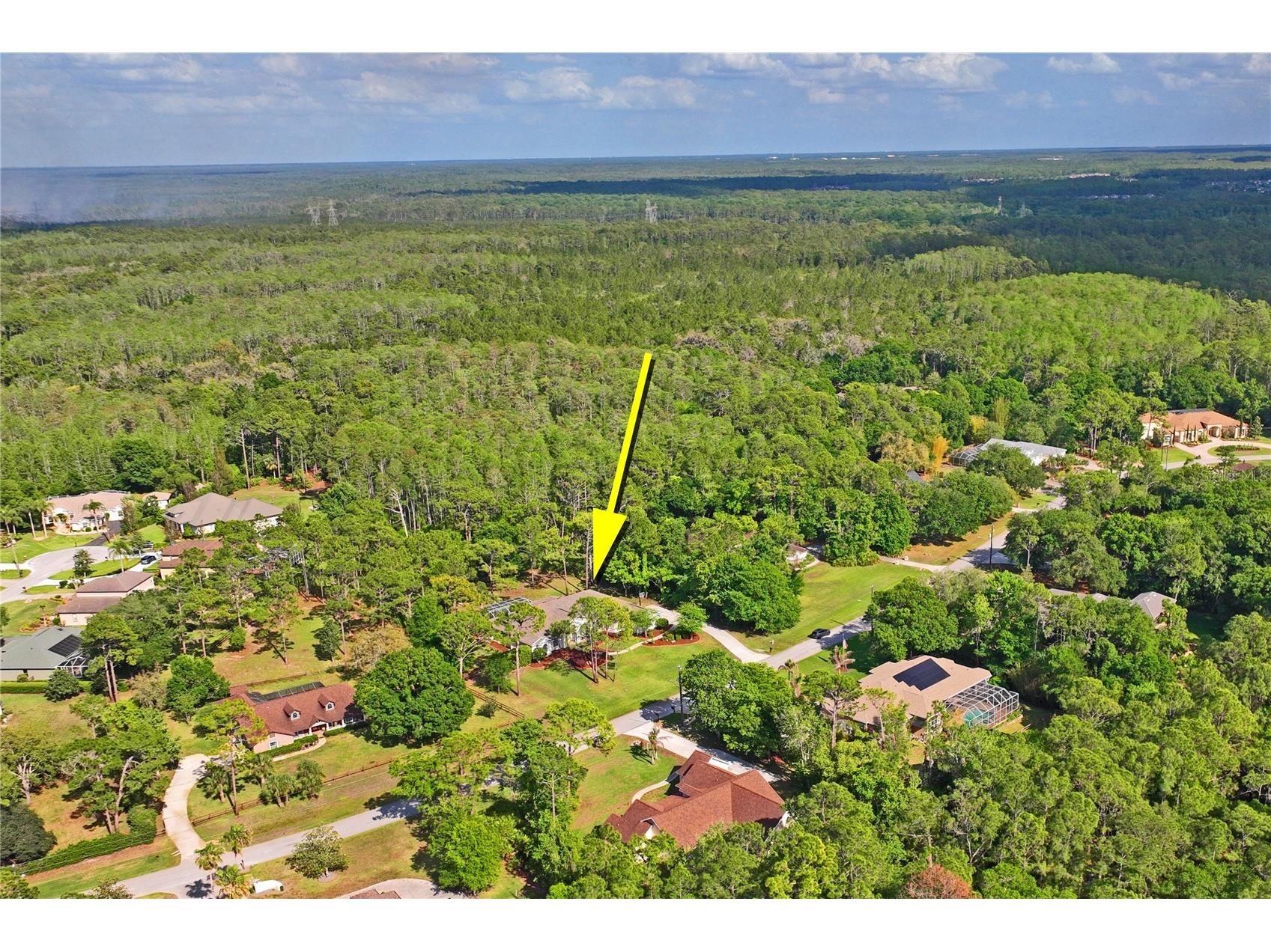 10801 Alico Pass New Port Richey FL 34655 W7884166 image74