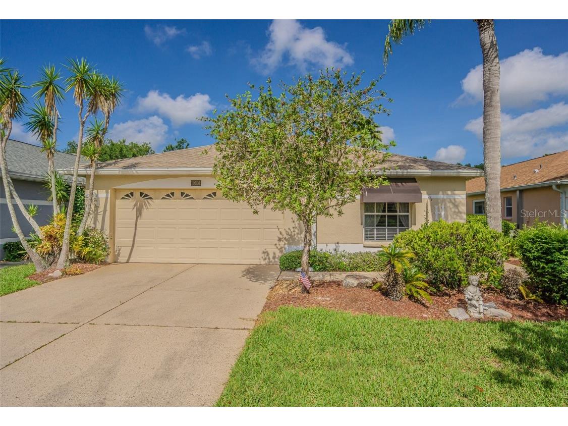 10801 Collar Drive San Antonio FL 33576 TB8389503 image1