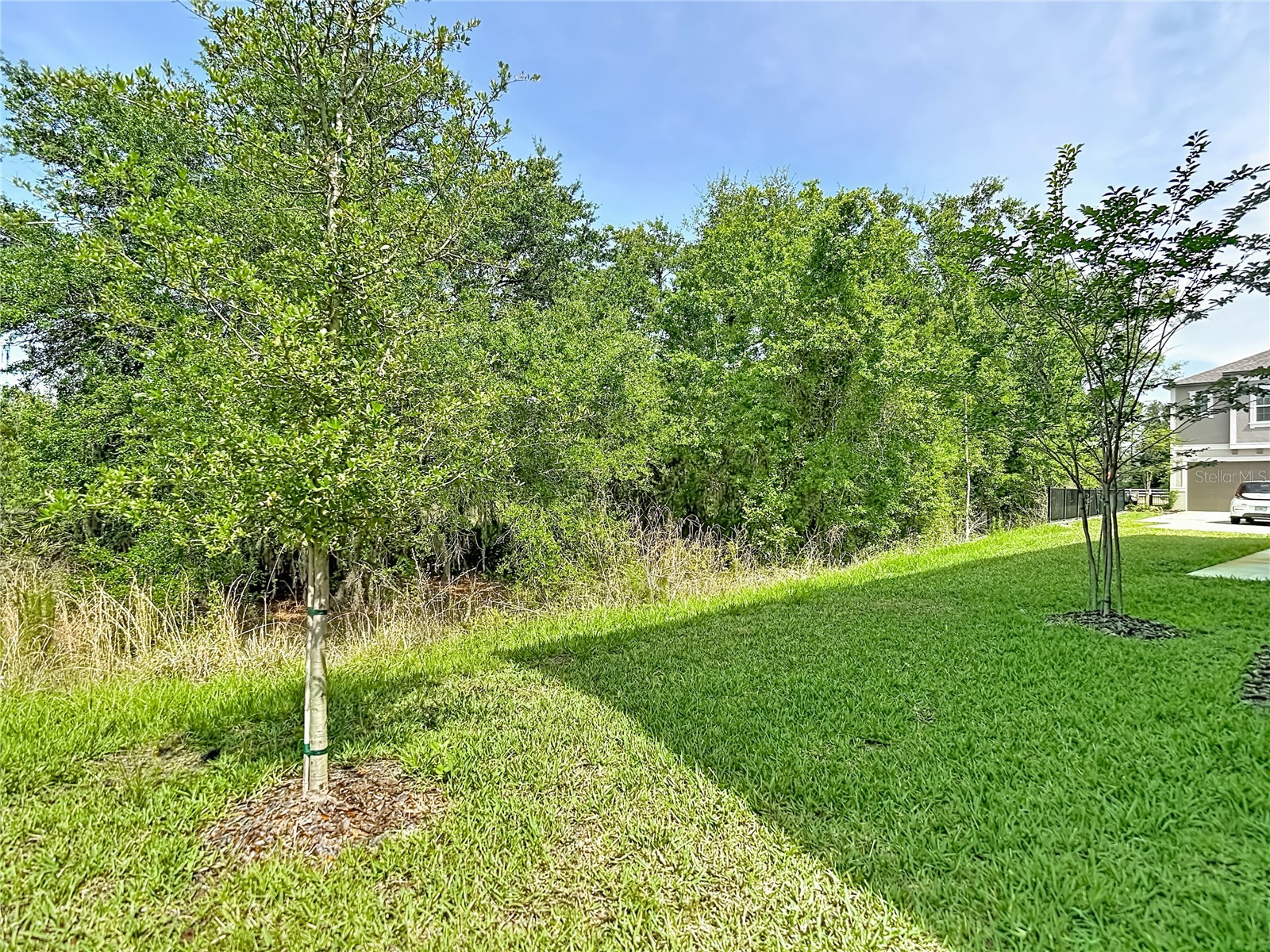 10801 Fort White Court Tampa FL 33647 TB8503564 image78