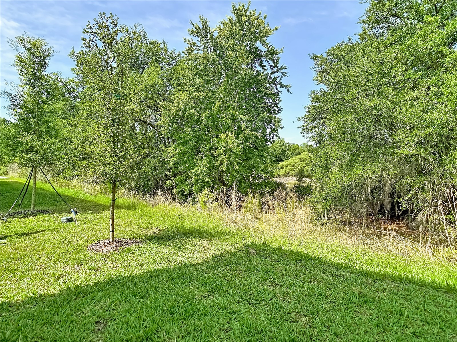 10801 Fort White Court Tampa FL 33647 TB8503564 image79
