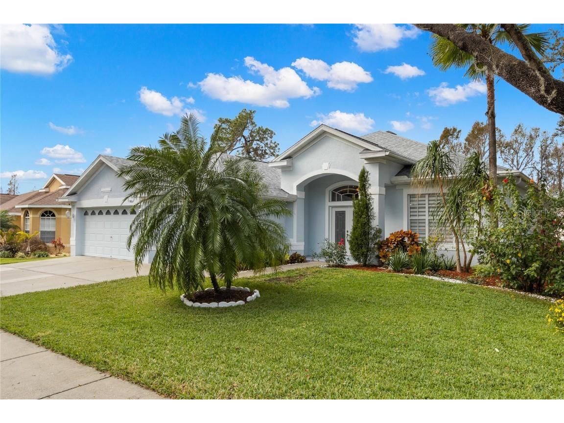 10801 Moss Island Drive Riverview FL 33569 U8187492 image1