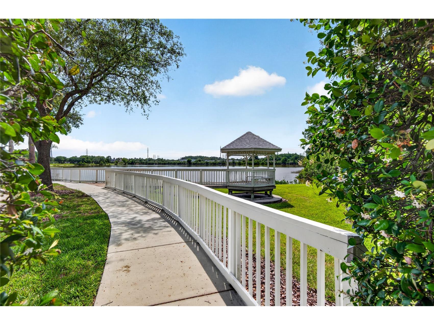 10801 Spring Mountain Place Tampa FL 33626 TB8505629 image54