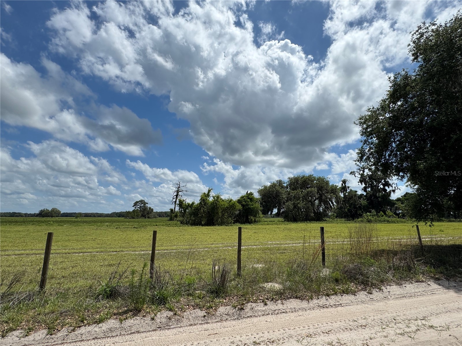 10801 SW 160th Street Dunnellon FL 34432 OM723785 image4