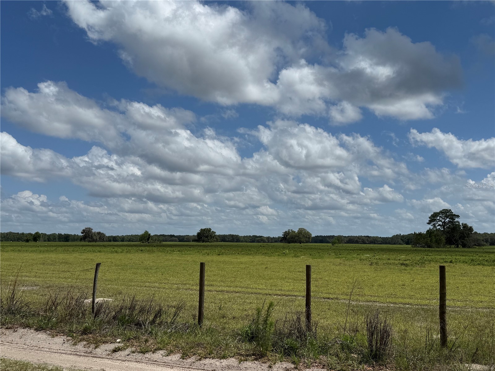 10801 SW 160th Street Dunnellon FL 34432 OM723785 image5