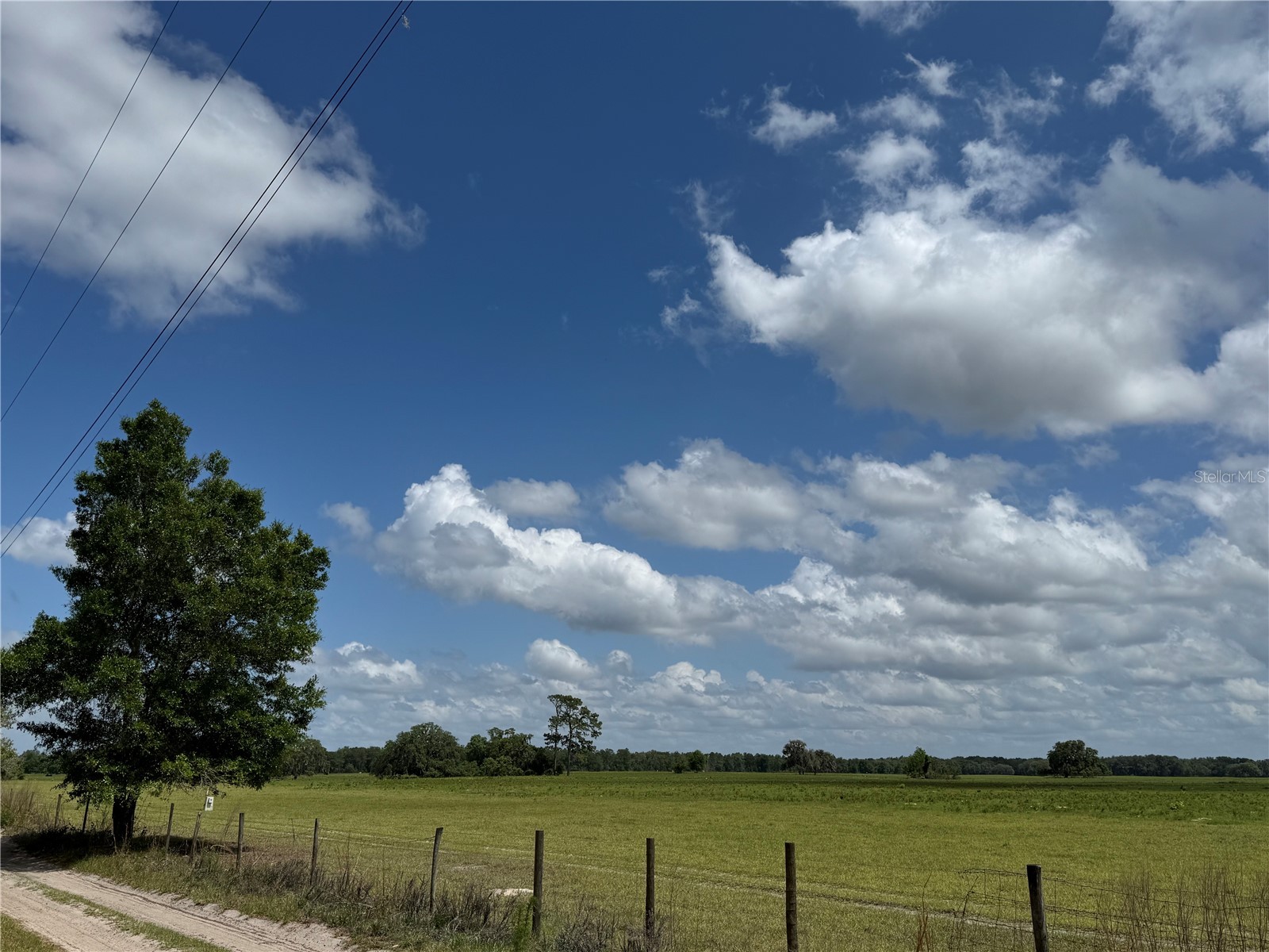 10801 SW 160th Street Dunnellon FL 34432 OM723785 image6