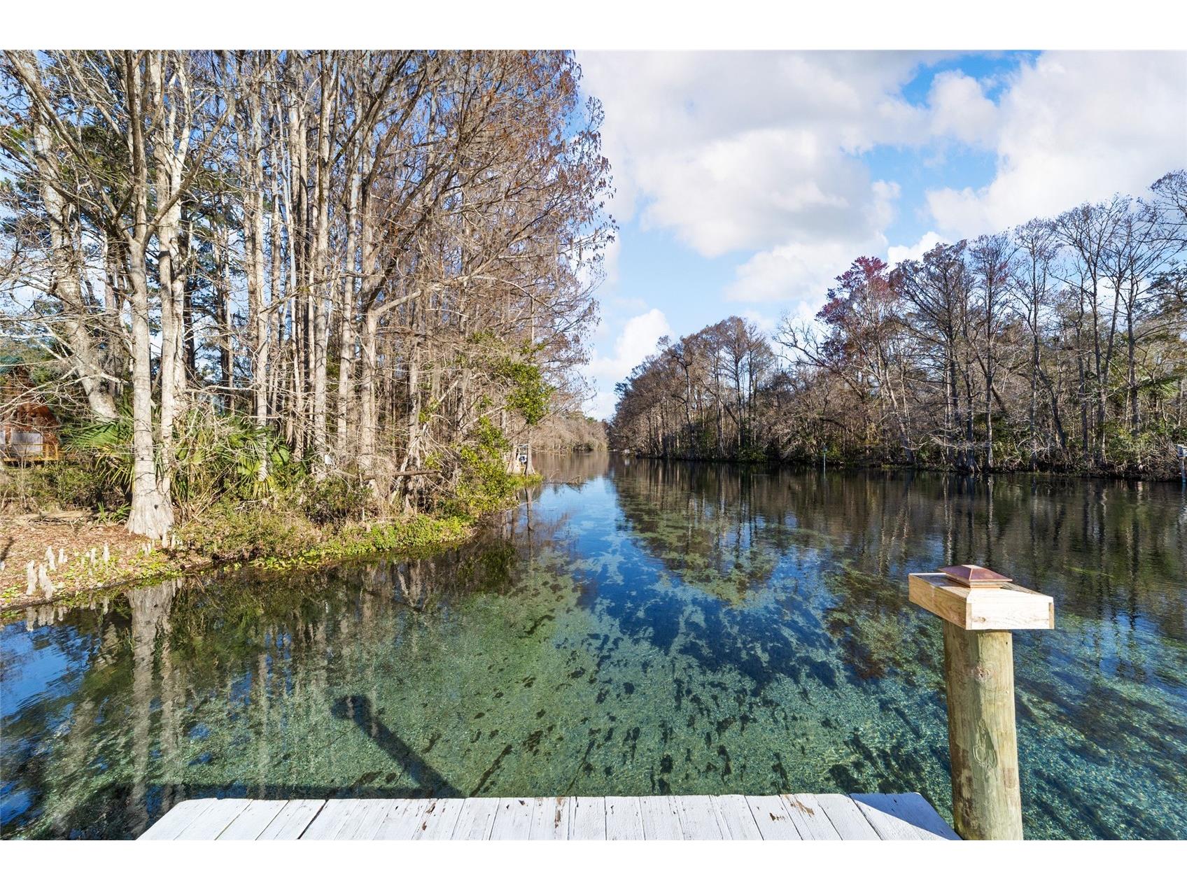10801 SW 185th Terrace Dunnellon FL 34432 - RAINBOW RIVER TB8418268 image1