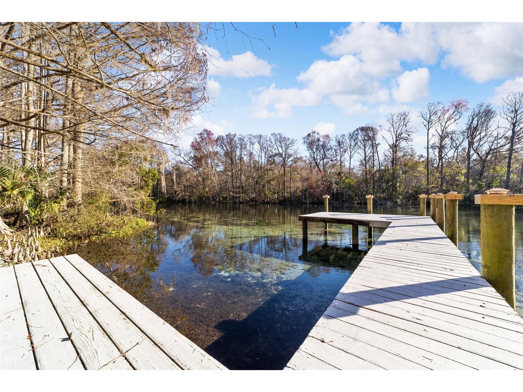 10801 SW 185th Terrace Dunnellon FL 34432 - RAINBOW RIVER TB8418268 image7
